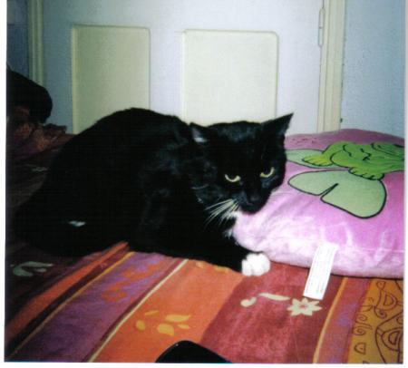 MON MINOU